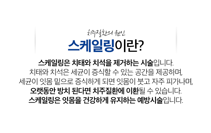 스케일링