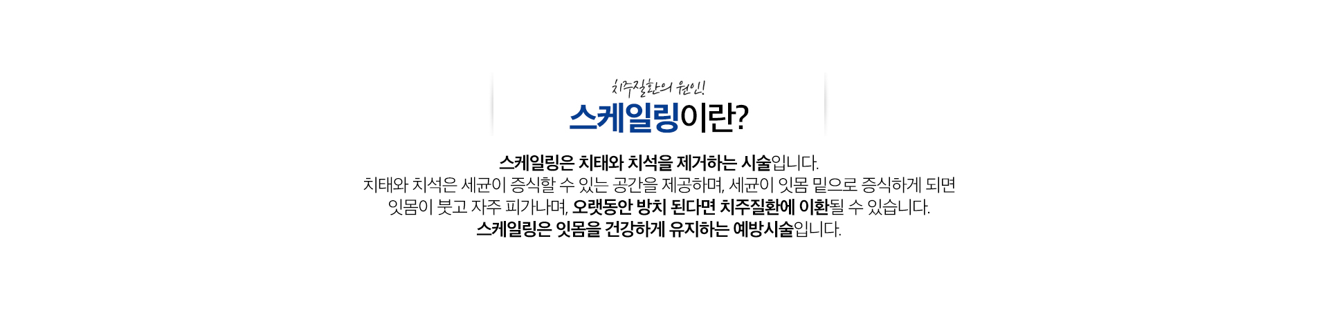 스케일링