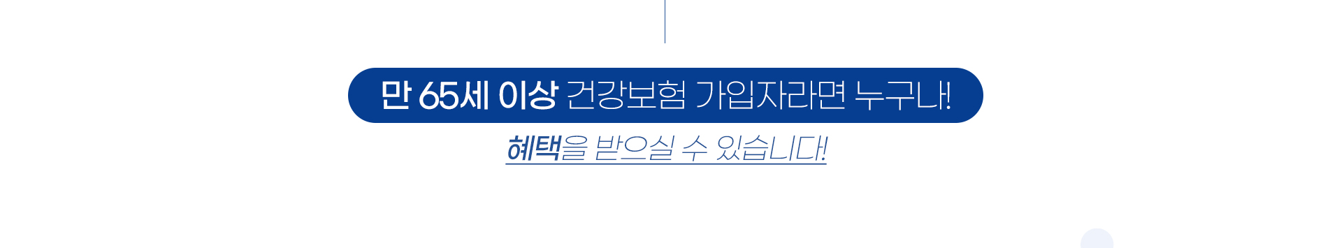 보험틀니