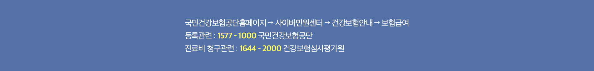 보험틀니